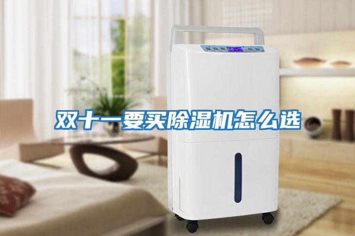 雙十一要買(mǎi)除濕機怎么選