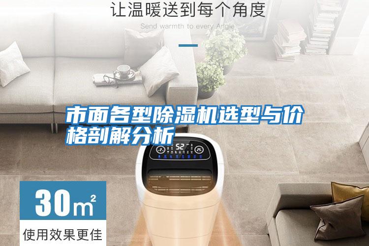 市面各型除濕機選型與價(jià)格剖解分析