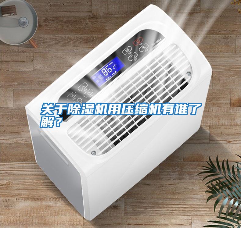 關(guān)于除濕機用壓縮機有誰(shuí)了解？
