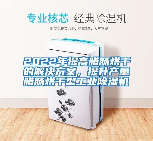 2022年提高臘腸烘干的解決方案，提升產(chǎn)量臘腸烘干型工業(yè)除濕機