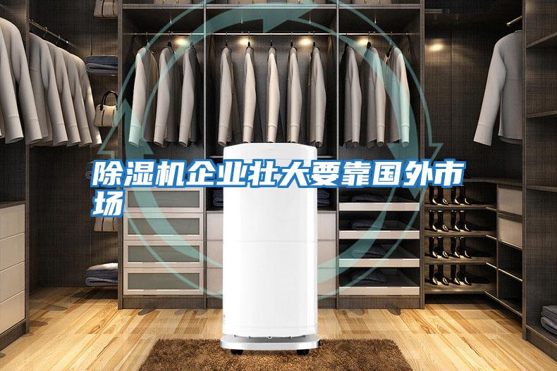 除濕機企業(yè)壯大要靠國外市場(chǎng)