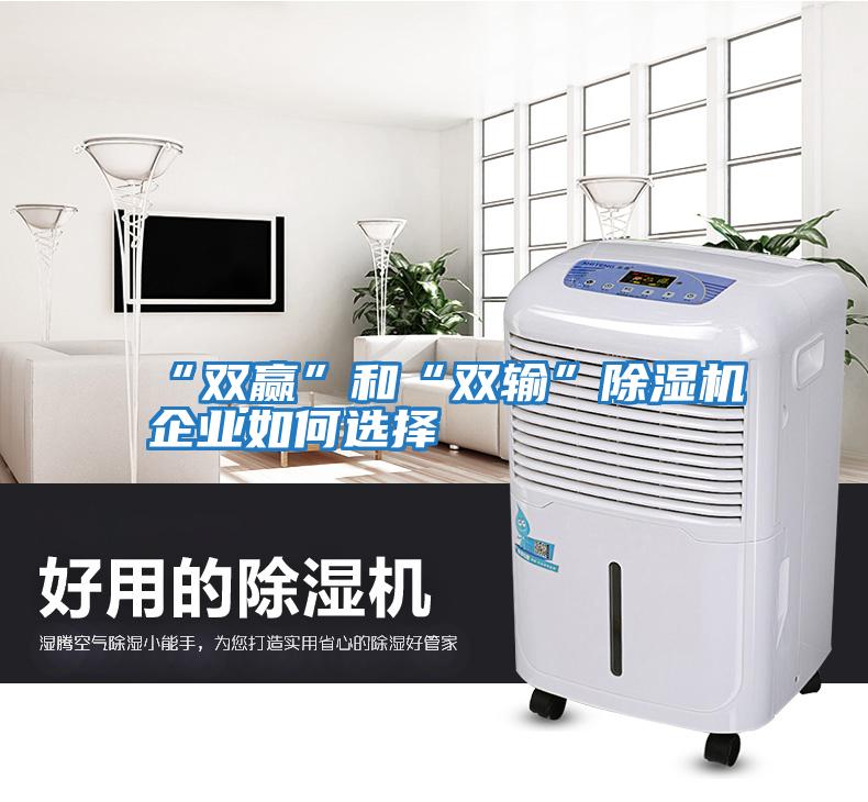 “雙贏(yíng)”和“雙輸”除濕機企業(yè)如何選擇