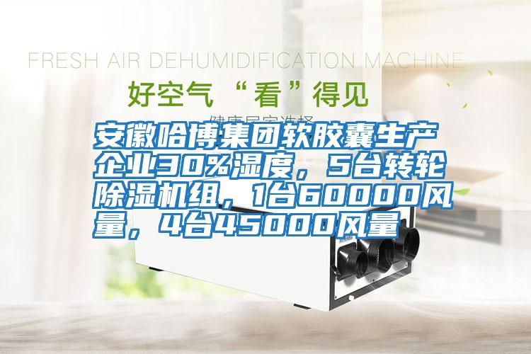 安徽哈博集團軟膠囊生產(chǎn)企業(yè)30%濕度，5臺轉輪除濕機組，1臺60000風(fēng)量，4臺45000風(fēng)量