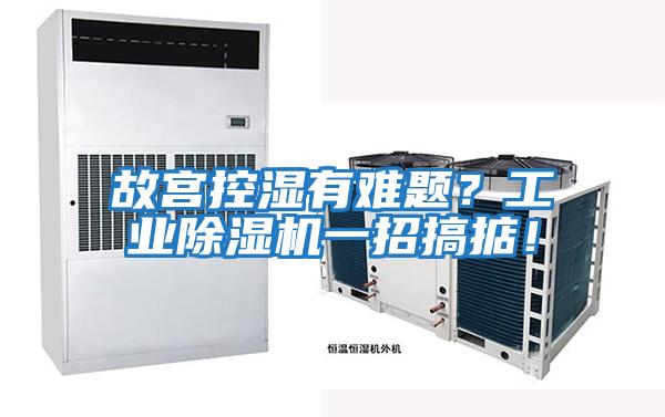 故宮控濕有難題？工業(yè)除濕機一招搞掂！