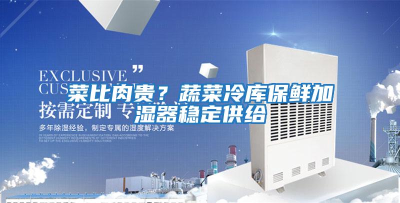 菜比肉貴？蔬菜冷庫保鮮加濕器穩定供給
