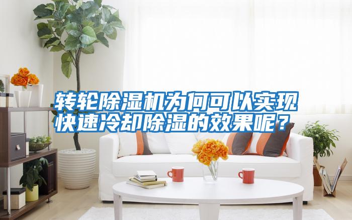 轉輪除濕機為何可以實(shí)現快速冷卻除濕的效果呢？