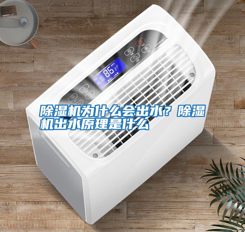 除濕機為什么會(huì )出水？除濕機出水原理是什么