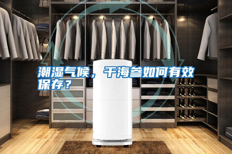 潮濕氣候，干海參如何有效保存？