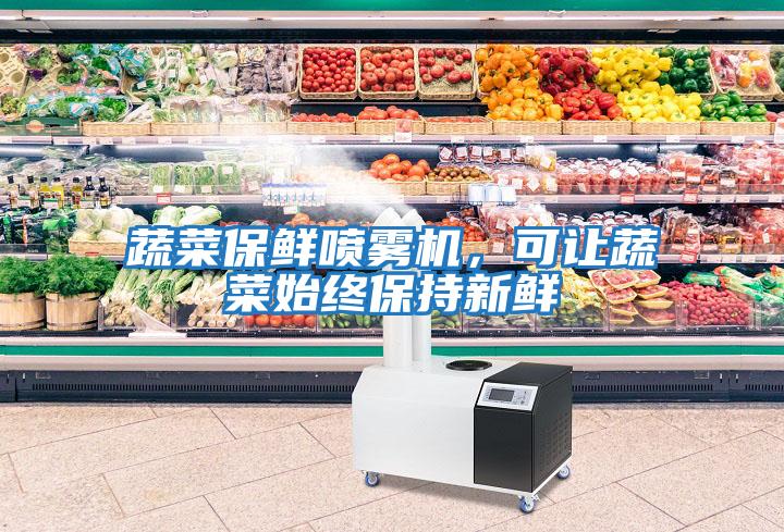 蔬菜保鮮噴霧機，可讓蔬菜始終保持新鮮