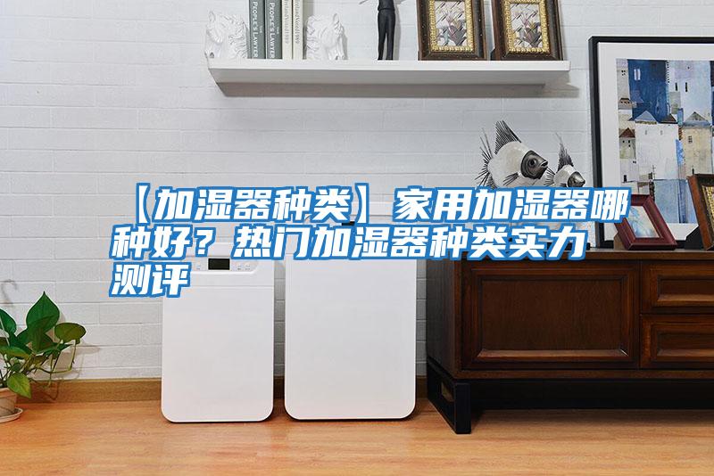 【加濕器種類(lèi)】家用加濕器哪種好？熱門(mén)加濕器種類(lèi)實(shí)力測評