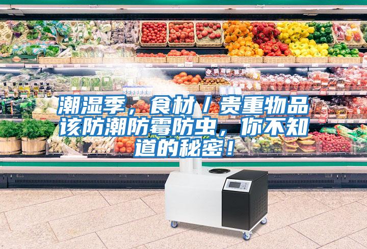 潮濕季，食材／貴重物品該防潮防霉防蟲(chóng)，你不知道的秘密！