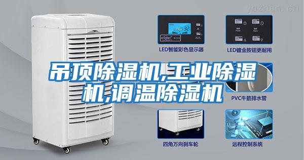 吊頂除濕機,工業(yè)除濕機,調溫除濕機