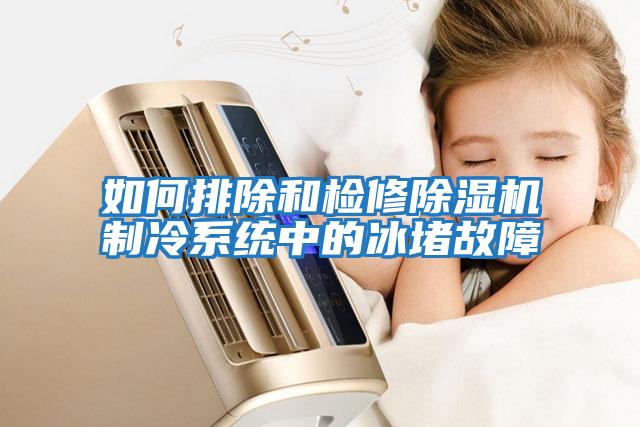 如何排除和檢修除濕機制冷系統中的冰堵故障