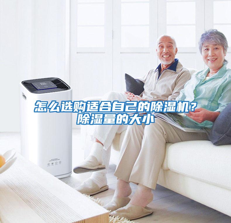 怎么選購適合自己的除濕機？除濕量的大小