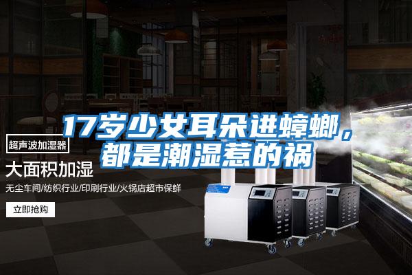 17歲少女耳朵進(jìn)蟑螂，都是潮濕惹的禍