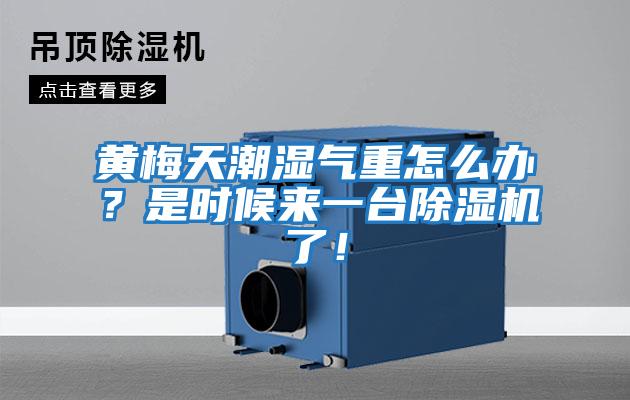 黃梅天潮濕氣重怎么辦？是時(shí)候來(lái)一臺除濕機了！
