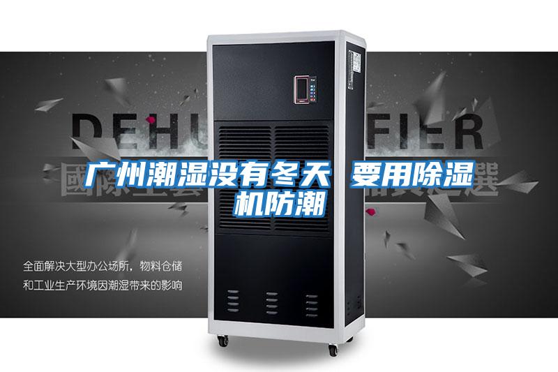 廣州潮濕沒(méi)有冬天 要用除濕機防潮