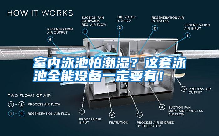 室內泳池怕潮濕？這套泳池全能設備一定要有！