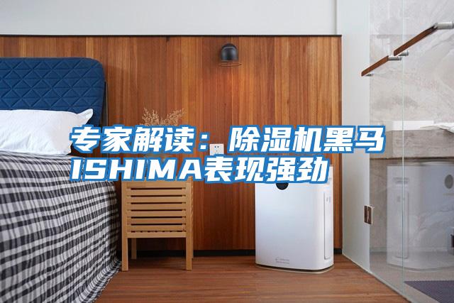 專(zhuān)家解讀：除濕機黑馬ISHIMA表現強勁