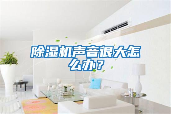 除濕機聲音很大怎么辦？