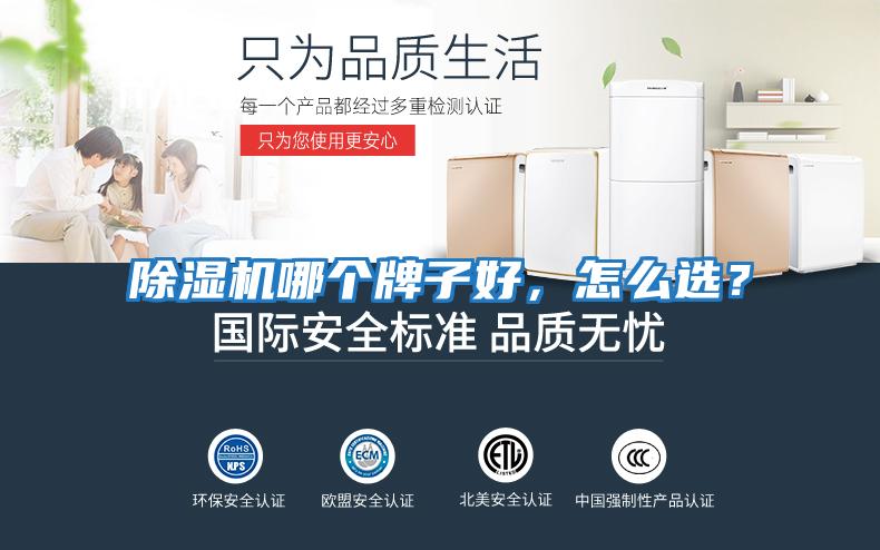 除濕機哪個(gè)牌子好，怎么選？