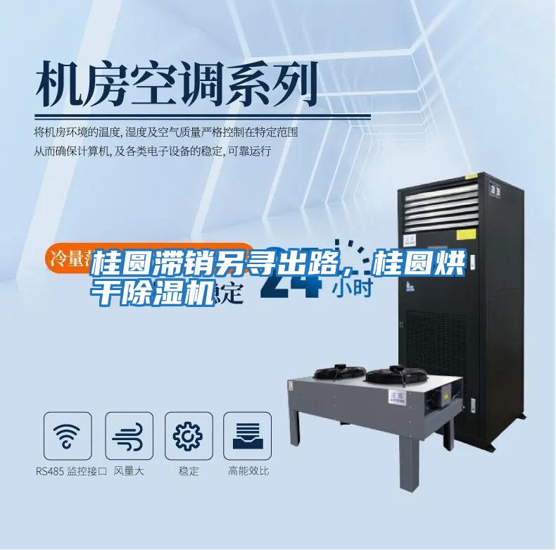 桂圓滯銷(xiāo)另尋出路，桂圓烘干除濕機