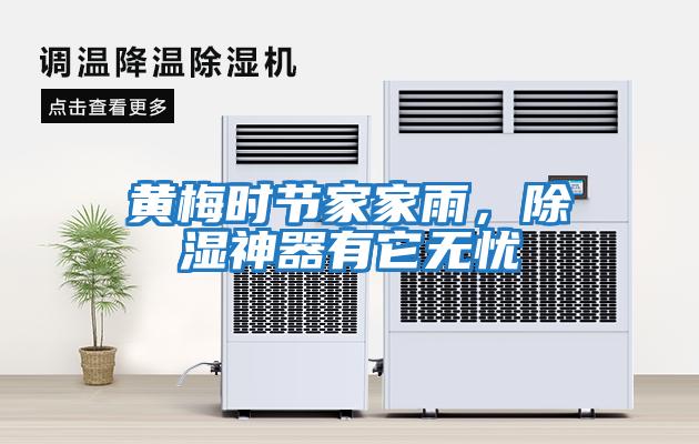 黃梅時(shí)節家家雨，除濕神器有它無(wú)憂(yōu)