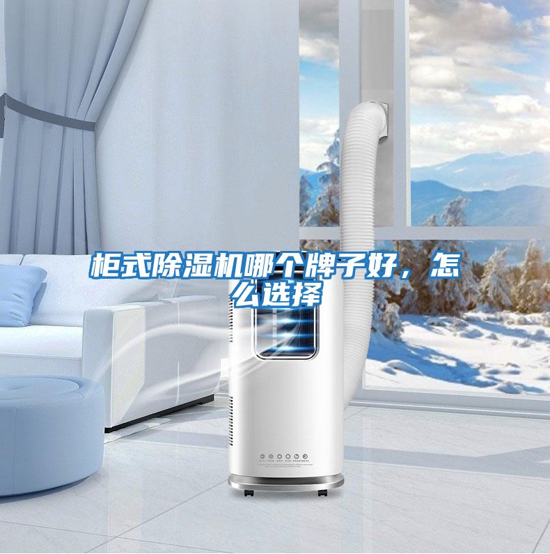 柜式除濕機哪個(gè)牌子好，怎么選擇