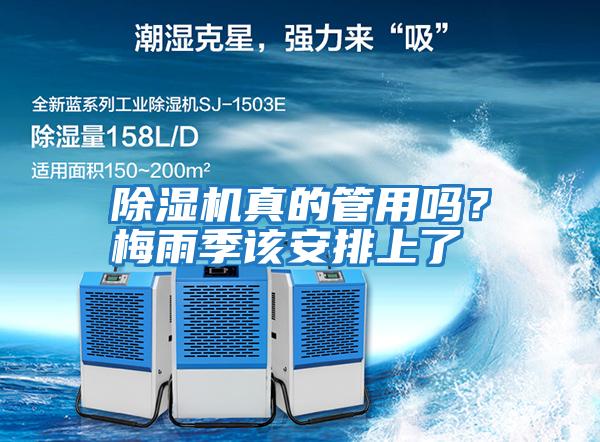 除濕機真的管用嗎？梅雨季該安排上了