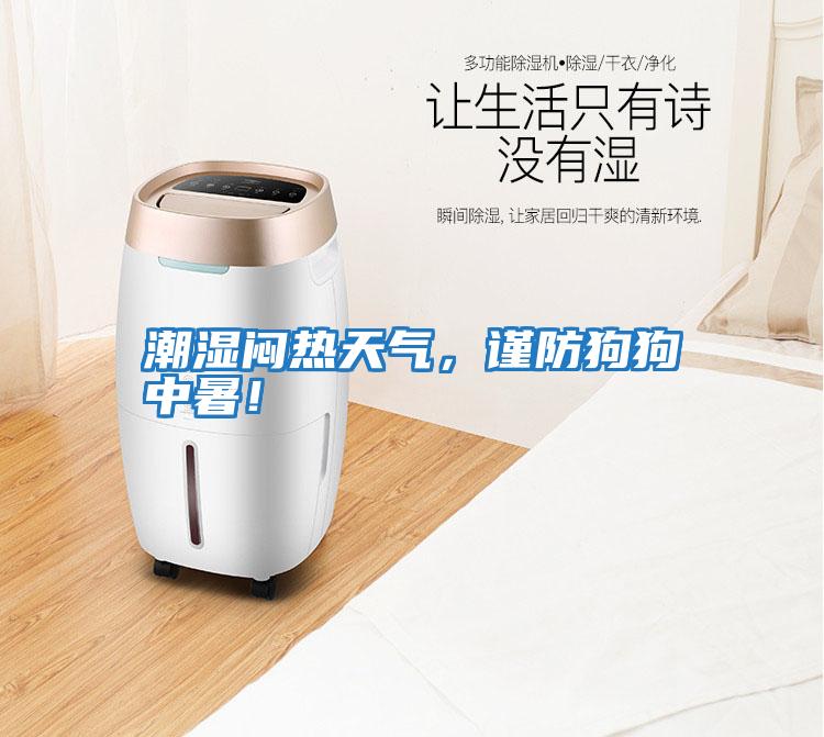 潮濕悶熱天氣，謹防狗狗中暑！