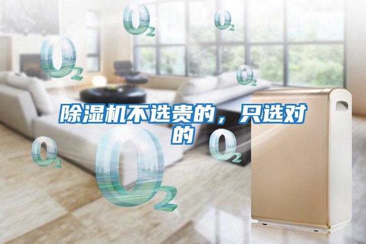 除濕機不選貴的，只選對的