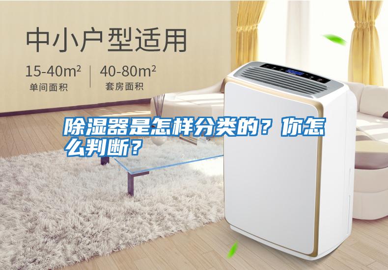 除濕器是怎樣分類(lèi)的？你怎么判斷？