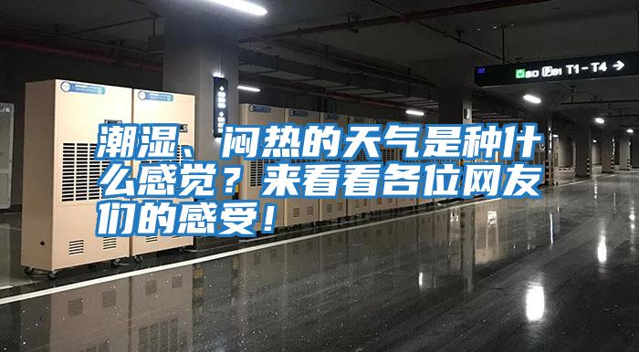 潮濕、悶熱的天氣是種什么感覺(jué)？來(lái)看看各位網(wǎng)友們的感受！
