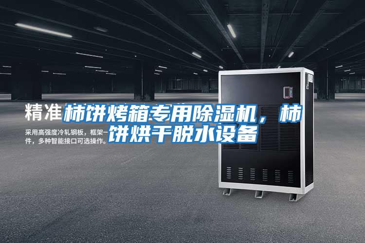 柿餅烤箱專(zhuān)用除濕機,柿餅烘干脫水設備
