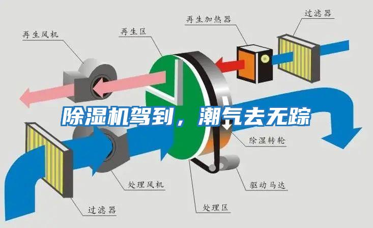 除濕機駕到，潮氣去無(wú)蹤