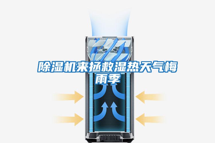 除濕機來(lái)拯救濕熱天氣梅雨季