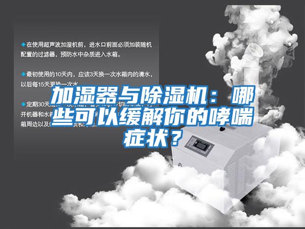 加濕器與除濕機：哪些可以緩解你的哮喘癥狀？