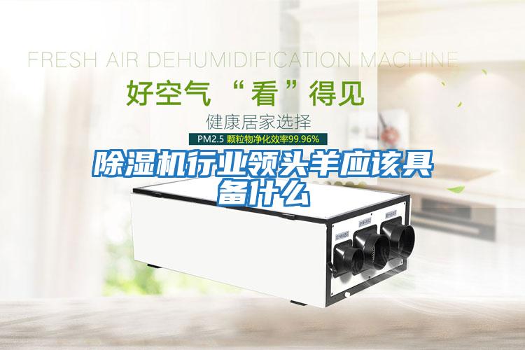 除濕機行業(yè)領(lǐng)頭羊應該具備什么