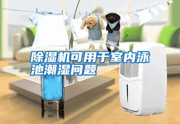 除濕機可用于室內泳池潮濕問(wèn)題