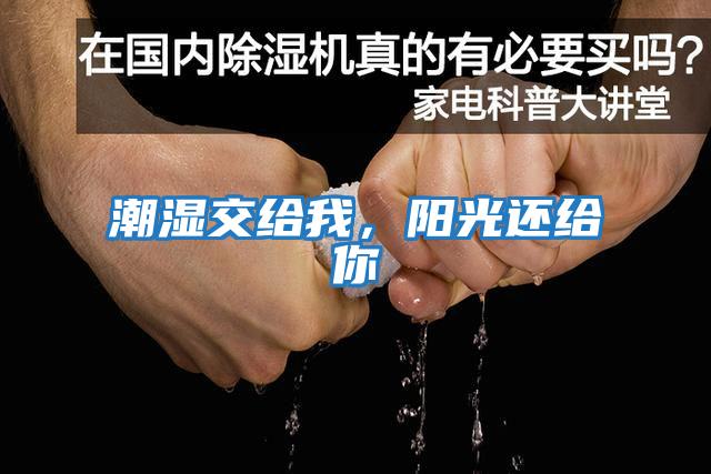 潮濕交給我，陽(yáng)光還給你