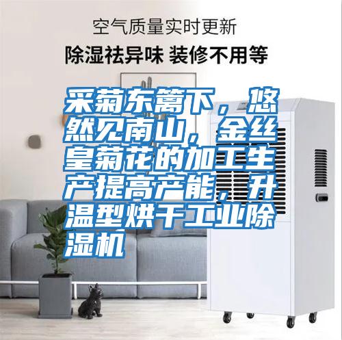 采菊東籬下，悠然見(jiàn)南山，金絲皇菊花的加工生產(chǎn)提高產(chǎn)能，升溫型烘干工業(yè)除濕機