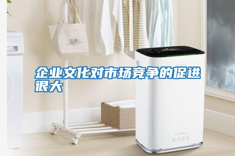 企業(yè)文化對市場(chǎng)競爭的促進(jìn)很大