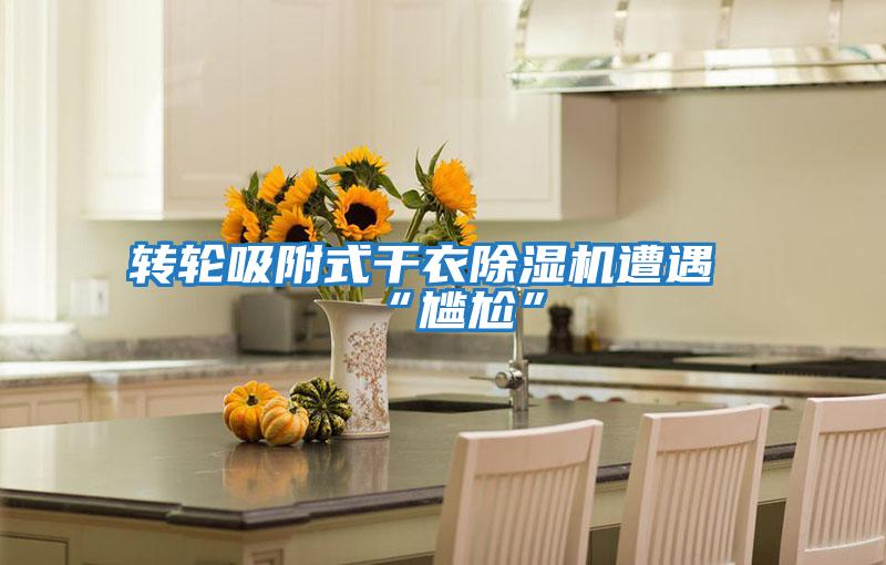 轉輪吸附式干衣除濕機遭遇“尷尬”