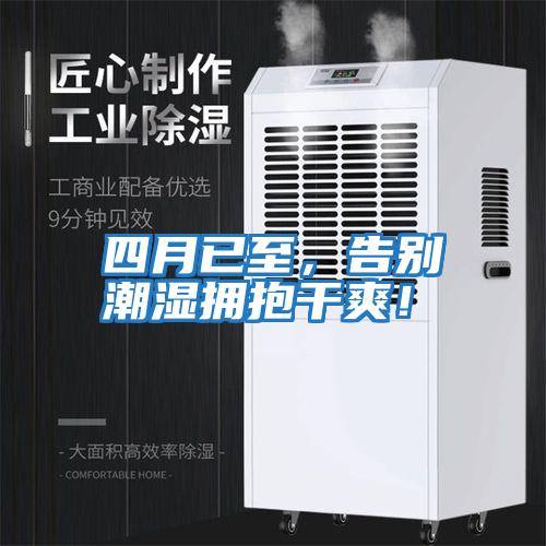 四月已至，告別潮濕擁抱干爽！
