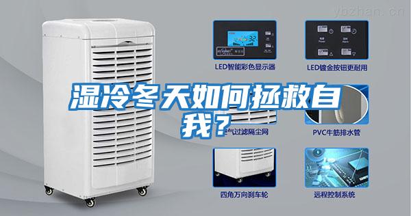 濕冷冬天如何拯救自我？