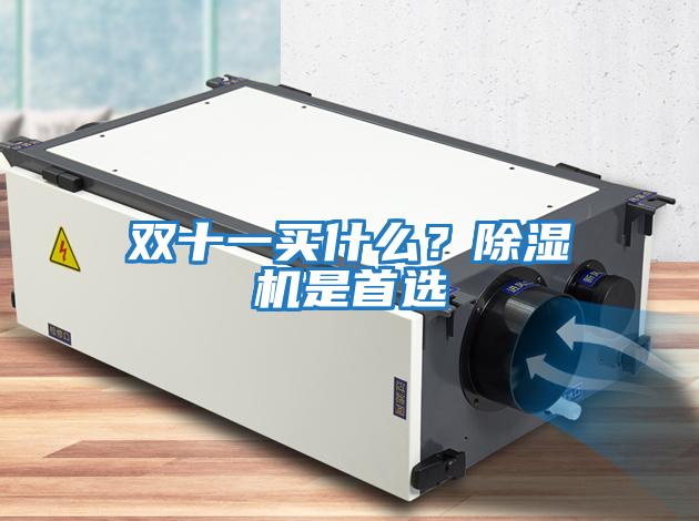 雙十一買(mǎi)什么？除濕機是首選