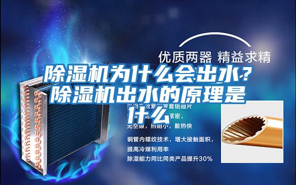 除濕機為什么會(huì )出水？除濕機出水的原理是什么