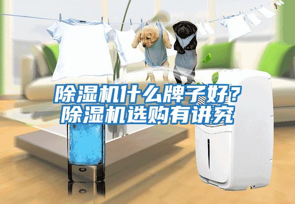 除濕機什么牌子好？除濕機選購有講究