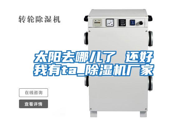 太陽(yáng)去哪兒了 還好我有ta_除濕機廠(chǎng)家