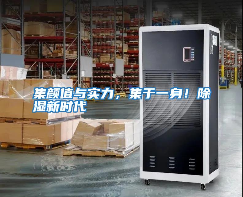 集顏值與實(shí)力，集于一身！除濕新時(shí)代